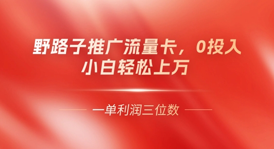 0门槛推广流量卡，一单收益上百，0投入，小白月入过W-轻创终点站